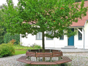 Ferienwohnungen unweit des Krakower See - SEE 10320